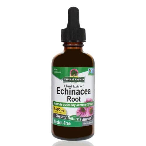 Echinacea Root, 1000mg - 30 ml.