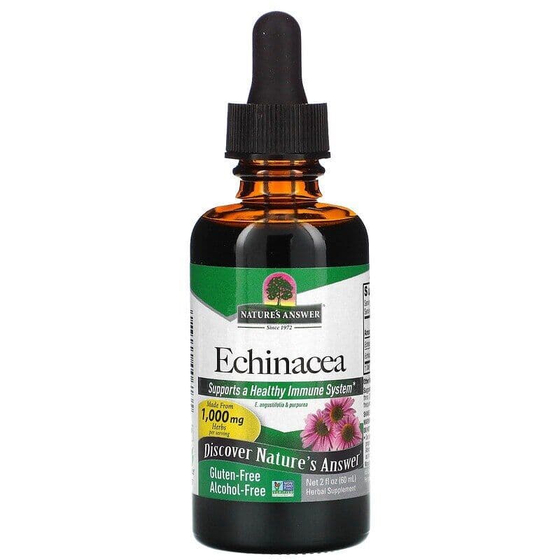 Echinacea Root, 1000mg - 60 ml.