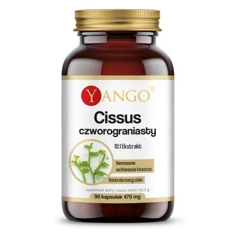 YANGO Cissus quadrangularis (90 capsules)