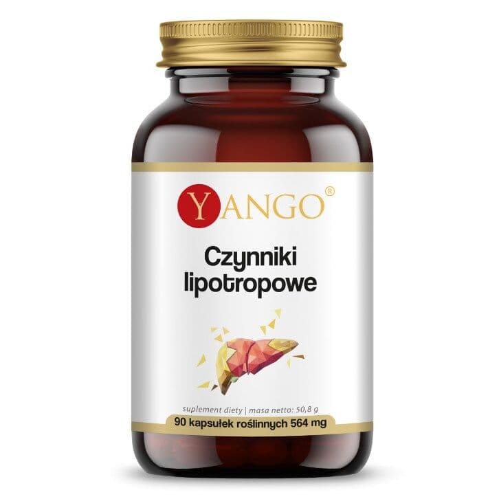 YANGO Lipotropic factors (90 capsules.)