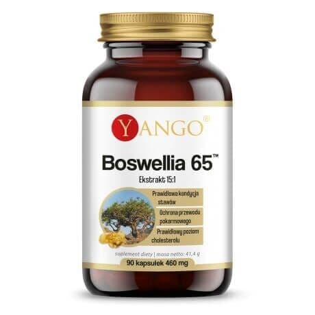 YANGO Boswellia 65 (90 capsules)