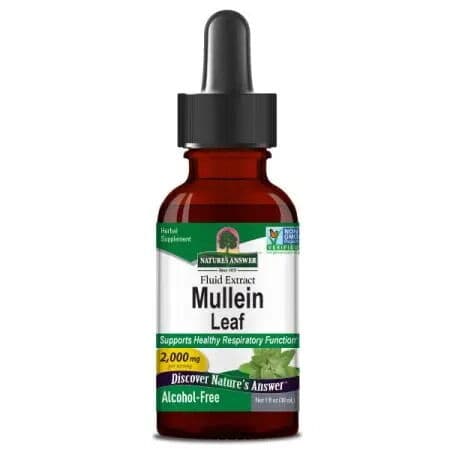 Mullein Leaf, 2000mg – 30 ml.