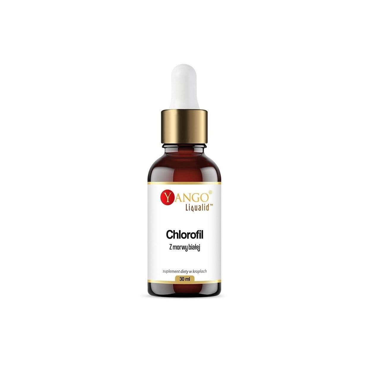 YANGO White Mulberry Chlorophyll in drops (30 ml)