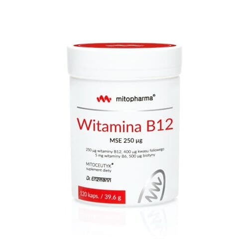 DR. ENZMANN MSE Vitamin B12 MSE, 250 µg (120 capsules)